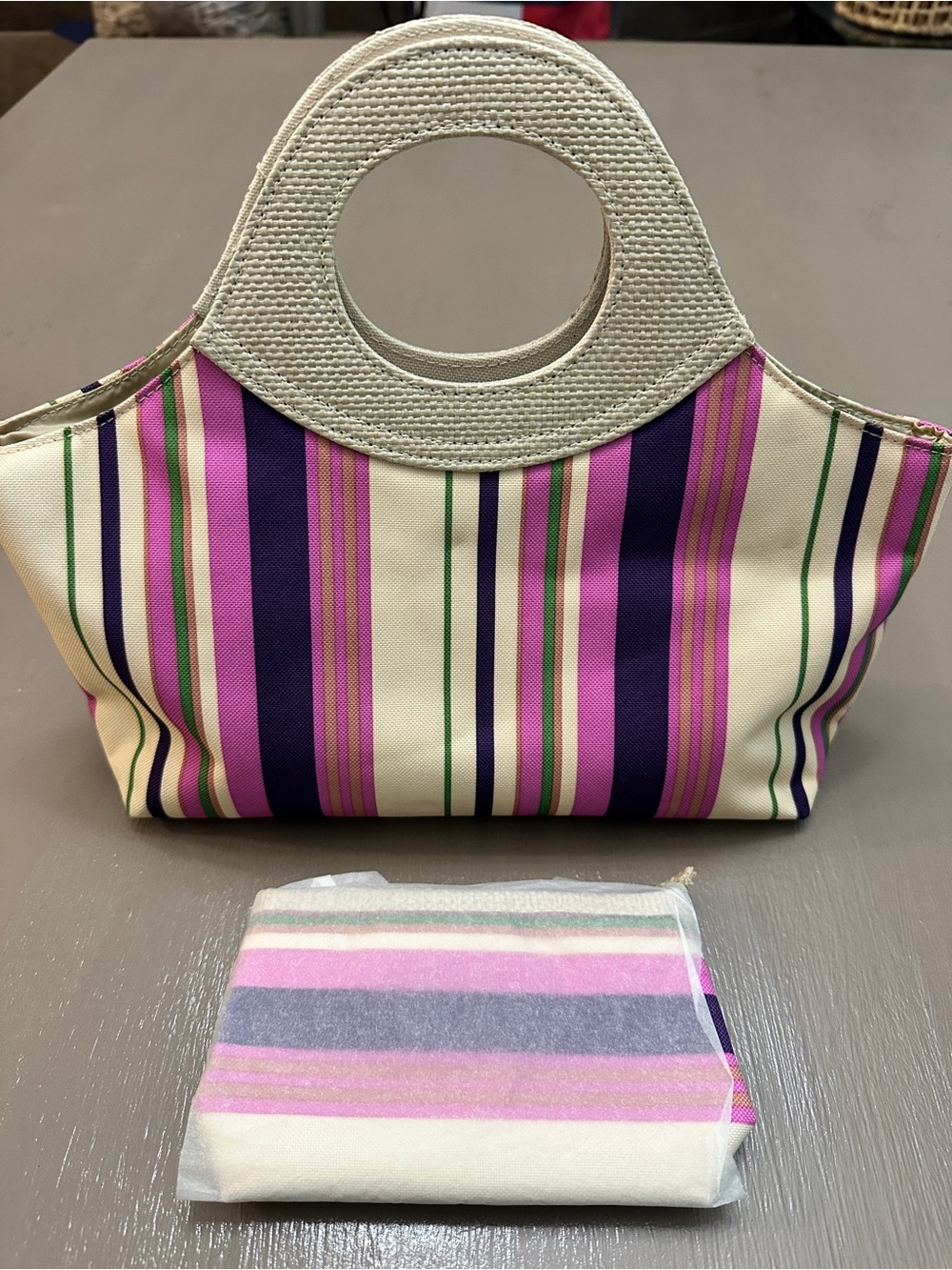 Estee Lauder Multi-Color Stripe Canvas Handbag Tote Set w/ Matching Bag Pouch